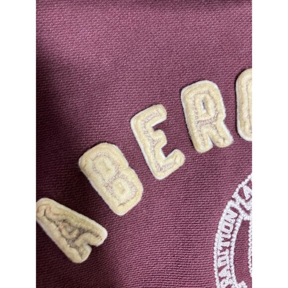 Abercrombie & Fitch Teen Men's Small Thick Heavy Burgundy Distressed Hoodie - Picture 5 of 14